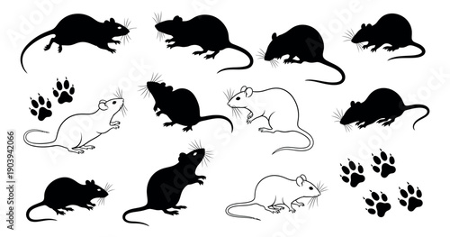 Black and white line art and silhouette rat and mouse illustrations set featuring various poses and paw prints for animal-themed projects