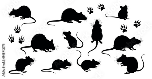 Black silhouette rat set featuring various poses and paw prints for pest control designs