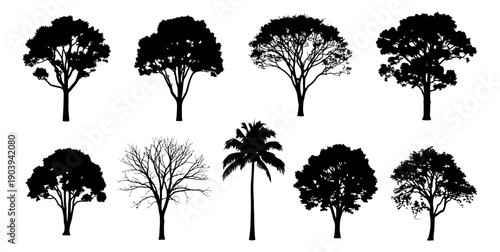 Graphic silhouette tree set featuring a variety of deciduous and palm tree shapes for nature and landscape design