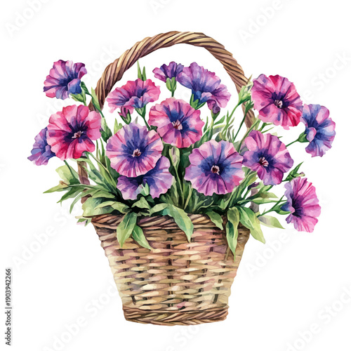 Sweet William Bouquet In A Basket A, watercolor illustration featuring soft shadows and luminous, isolated on a white background.