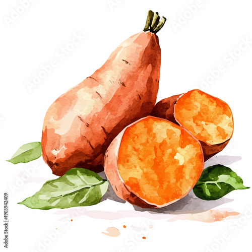Sweet Potato High Quality, watercolor artwork with intricate patterns and vibrant, isolated on a white background.
