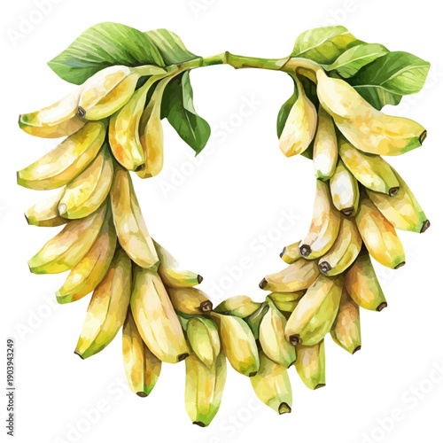 String Of Bananas High Quality, watercolor illustration featuring soft shadows and luminous, isolated on a white background.