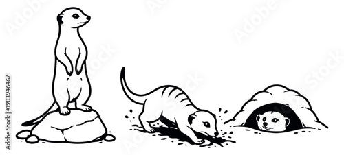 Hand drawn line art meerkat set featuring meerkats standing, digging, and in a burrow for wildlife and animal themes