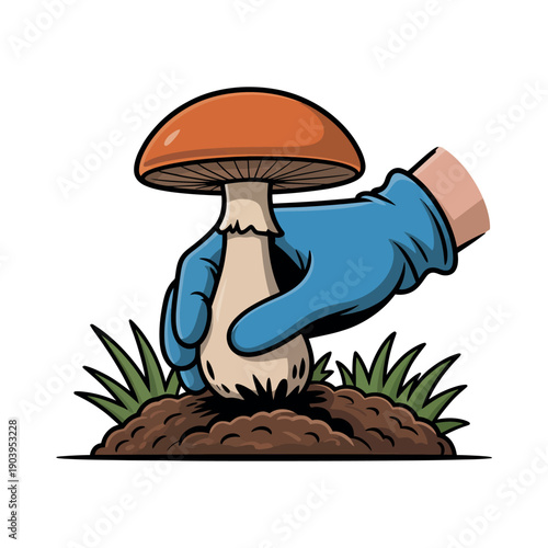 A gloved hand carefully holds a mushroom in the soil with green grass around it.