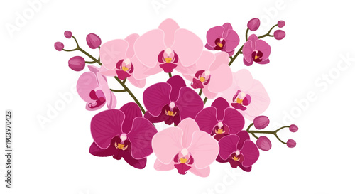 Pink and Purple Orchid Flowers Arrangement.