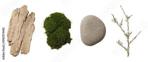 Εκτύπωση καμβά Driftwood pieces, green moss, smooth river stone and lichen branch isolated on transparent background