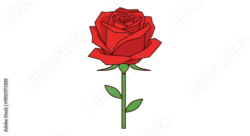 Single Red Rose with Green Stem.