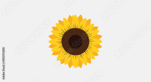 Sunflower with Bright Yellow Petals and Center.