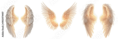 Canvastavla Set of ethereal white angel wings isolated on white background
