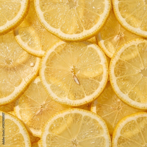 lemon slices background
