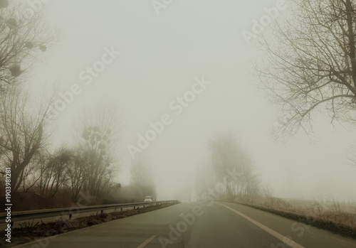 Foggy road disappearing into mist, mysterious travel background, low visibility driving concept, uncertainty, journey, risk and atmospheric landscape mood