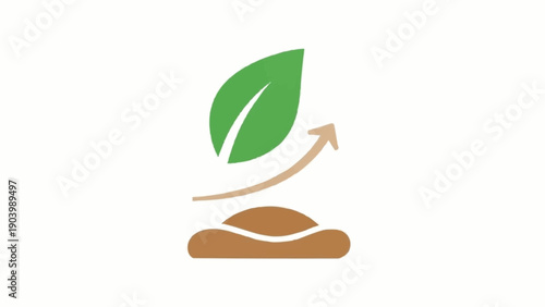 фотографія Green leaf growing from brown soil.