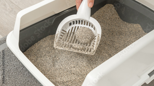 Fotografie Hand holding a white scoop removing cat litter from a gray litter box, with clea