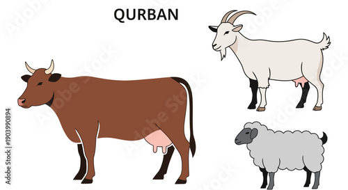 Cow Goat Sheep Qurban Animals Illustration.
