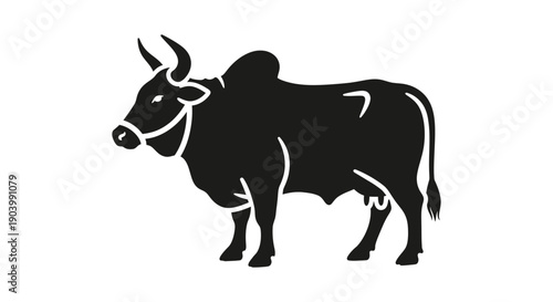 Black Cow Silhouette with Horns Standing.