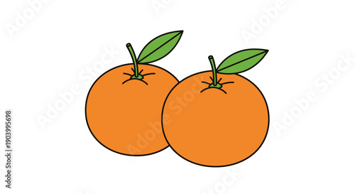Two Oranges with Green Leaves Illustration.