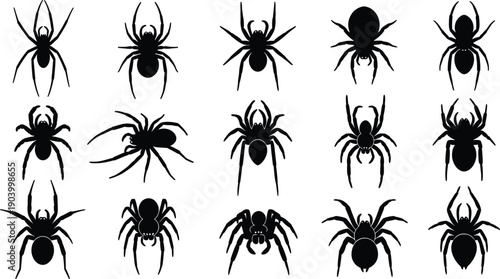 Black cherry silhouette vector collection with leaves, organic fruit icons for summer food branding, botanical berry illustrations for farm market labels