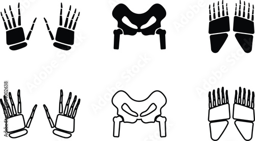 Human skeleton anatomy bone icons featuring hands pelvis and feet