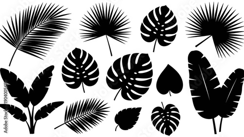 Collection of Black Tropical Leaves Silhouettes Isolated on White Background.