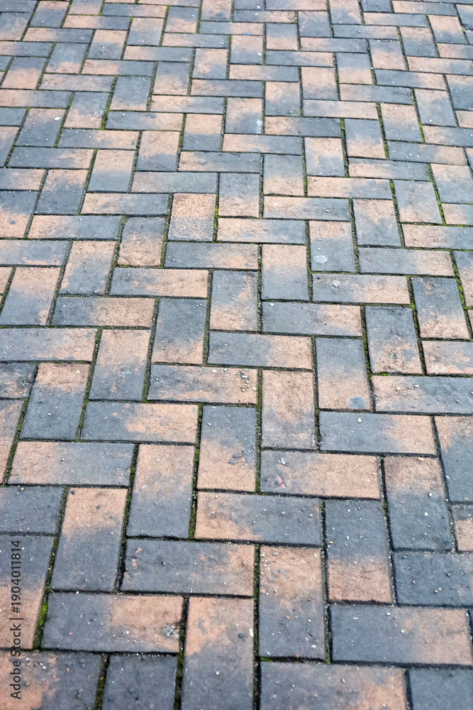 Fototapeta premium Brick pavement walkway in Japan
