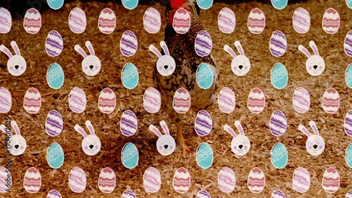 Easter sticker overlay appearing while speckled hen pecking bedding, turning head, foraging right