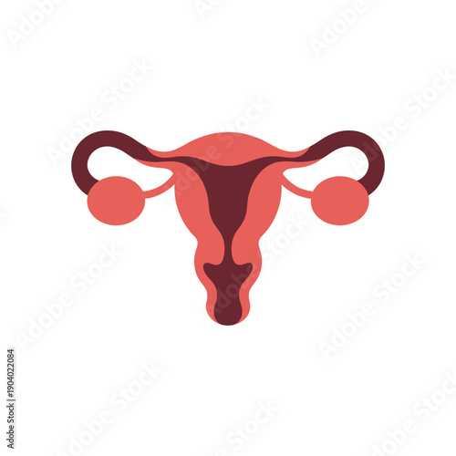 A graphic illustration of a female reproductive system with uterus and ovaries on a white background