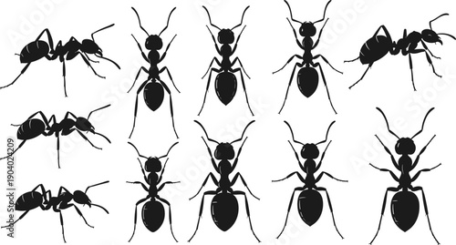 Ant insect silhouette collection showing multiple ant poses and views, black vector illustrations isolated on white background for pest control, biology, nature and design concepts