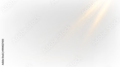 Photos Bright light shines through a soft mist during early morning or late afternoon h