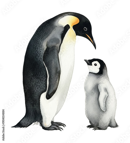 Parent Emperor Penguin Looking Down at Cute Baby Penguin Standing Together Watercolor Illustration