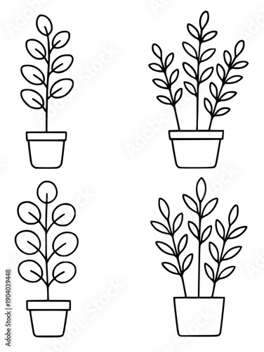 Plant icons, 4 vector illustrations of eucalyptus in pots in outline design style