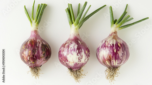Fresh red onions with green stems, three onion bulbs isolated on white background