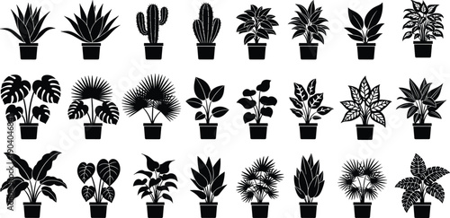 Collection of potted houseplant silhouettes indoor tropical cactus foliage plants isolated black vector set for home decor design