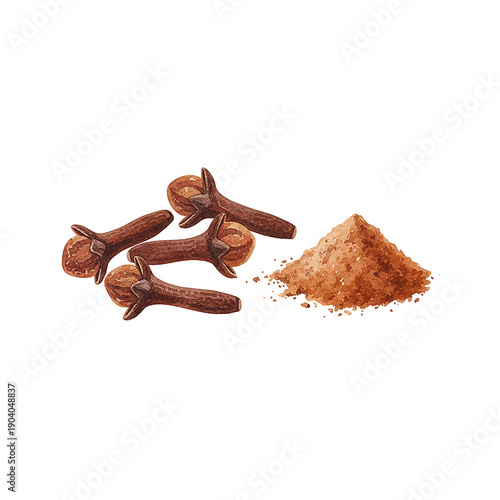 Watercolor illustration of whole dried cloves spice and a pile of ground powdered spice on white
