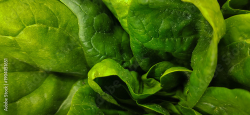 Close-up texture of fresh spinach leaves with rich green color and natural folds. Organic vegetable background suitable for healthy food concepts, nutrition design, eco themes, and food backgrounds.