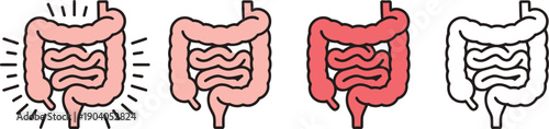 Visual Representation of Intestinal Health: From Healthy to Inflamed