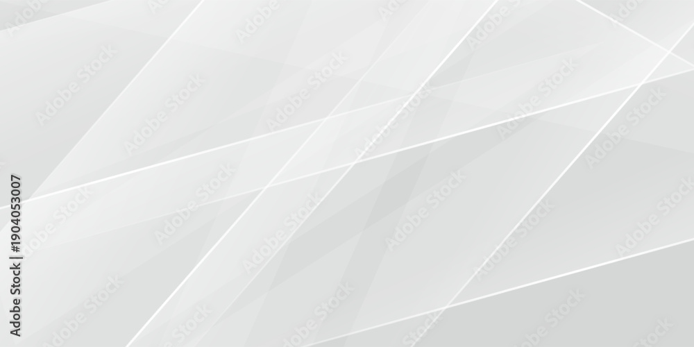 Obraz premium Abstract white and gray background. smooth abstract background, blurred pattern. Light pale vector background