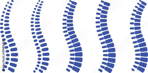 Five Blue Spinal Column on White Background