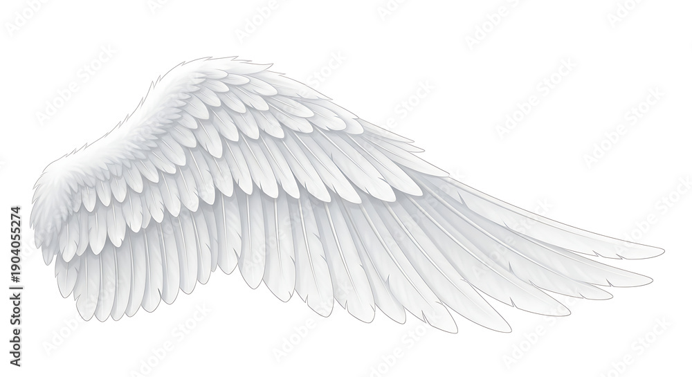 Obraz premium White Angel Wing Feather bird