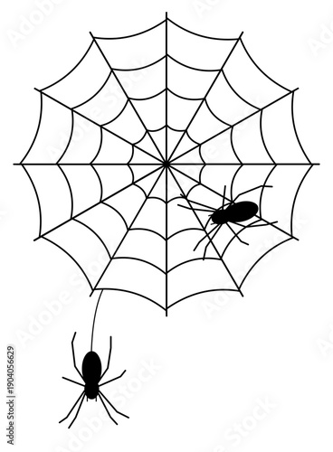 spider web vector SVG