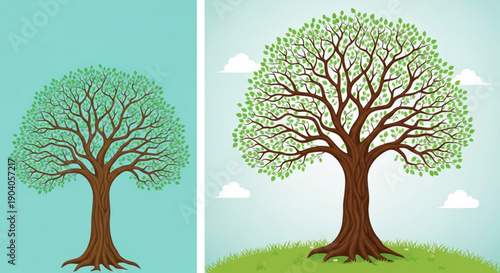 Trees with green leaves on different backgrounds