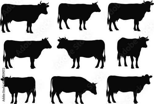 Cow silhouette collection, black cattle vector set, dairy livestock illustration, farm animal graphic, agriculture design elements, rural animal shapes, domestic cattle artwork