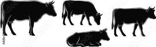 Cow silhouette vector set, black cattle illustration, dairy livestock collection, farm animal design, agriculture artwork, rural domestic cow shapes, grazing and resting poses