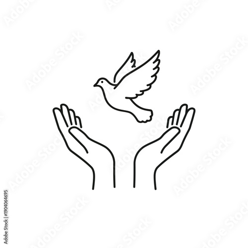 A white dove being gently released from two open hands symbolizing freedom and peace.