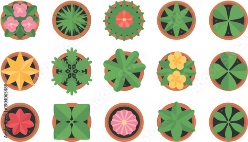 A top-down view of 12 small potted plants arranged in a 3x4 grid.