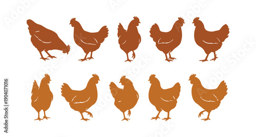 chicken bodies depicted as colored silhouettes in vector style
