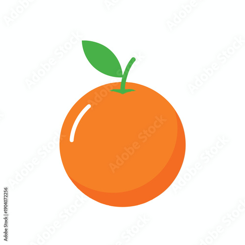 Bright Orange Fruit Illustration