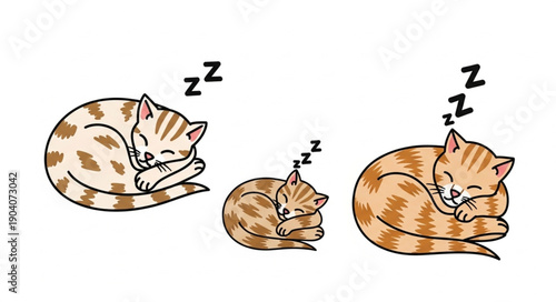 Three adorable kittens sleeping peacefully curled up together.