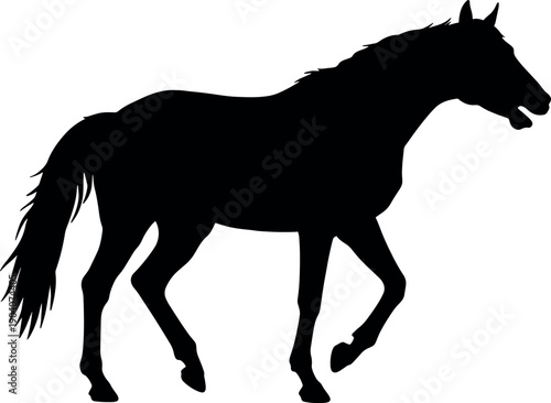 Silhouette of a Galloping Horse in Black on White Background for Equine and Animal Themes