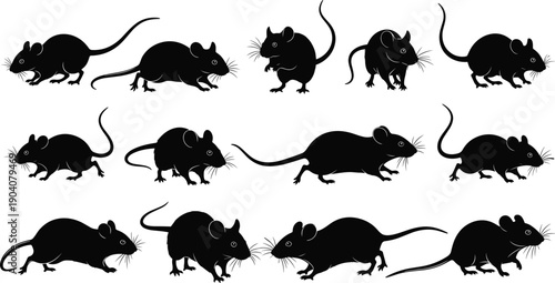 Set of mouse silhouettes and rodent icons, wild field mice in various poses, small rat pest control vectors for nature,