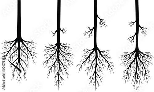 Set of realistic tree root silhouettes, underground plant growth vector icons, botanical root system illustrations, nature life cycle elements for design,